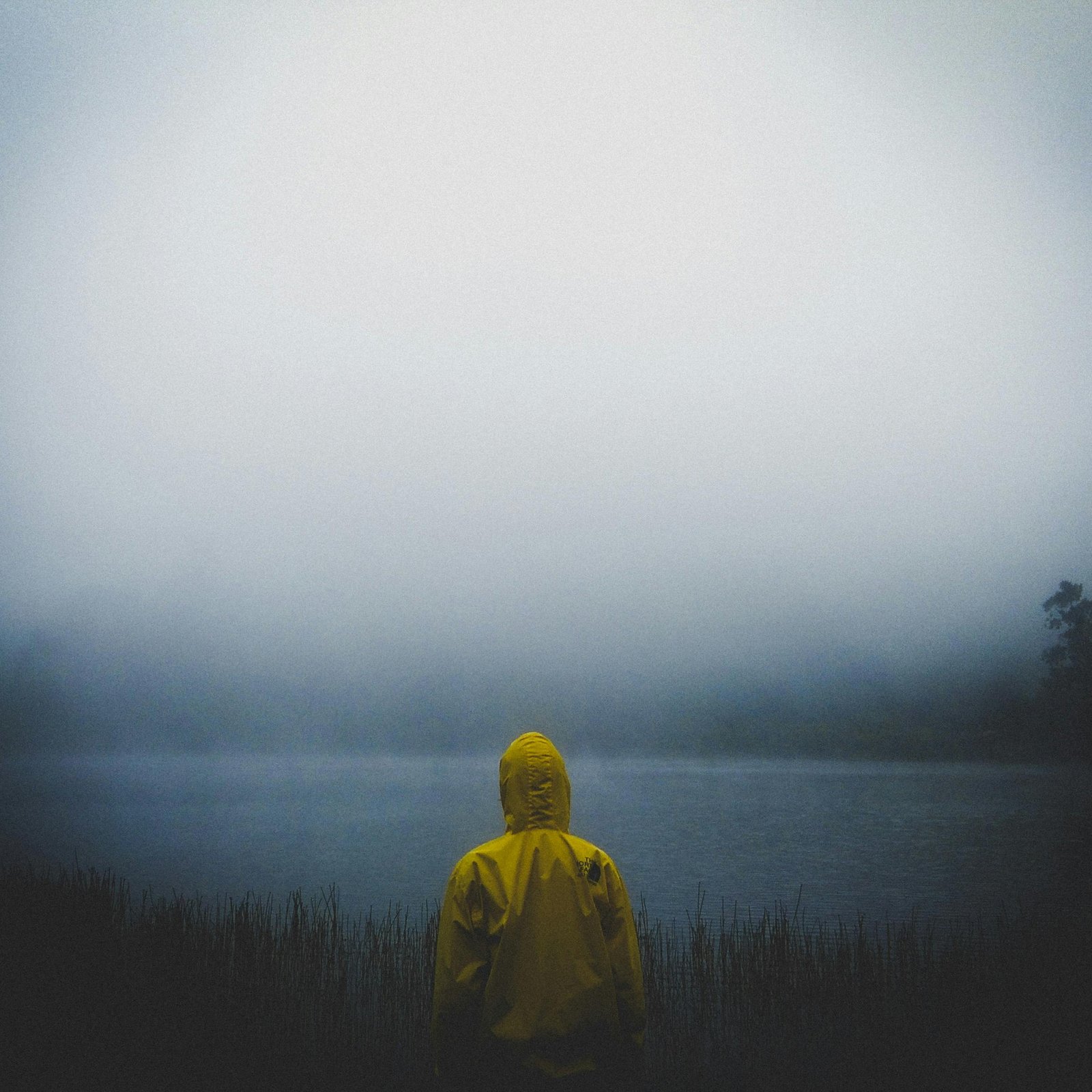 Person in yellow raincoat facing misty lake in Jawa Timur, Indonesia